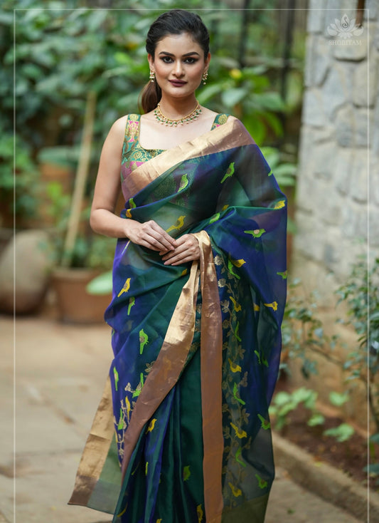 Meenakare birds chanderi silk saree in blue green daule tone