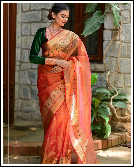 Saded colors mena border saree