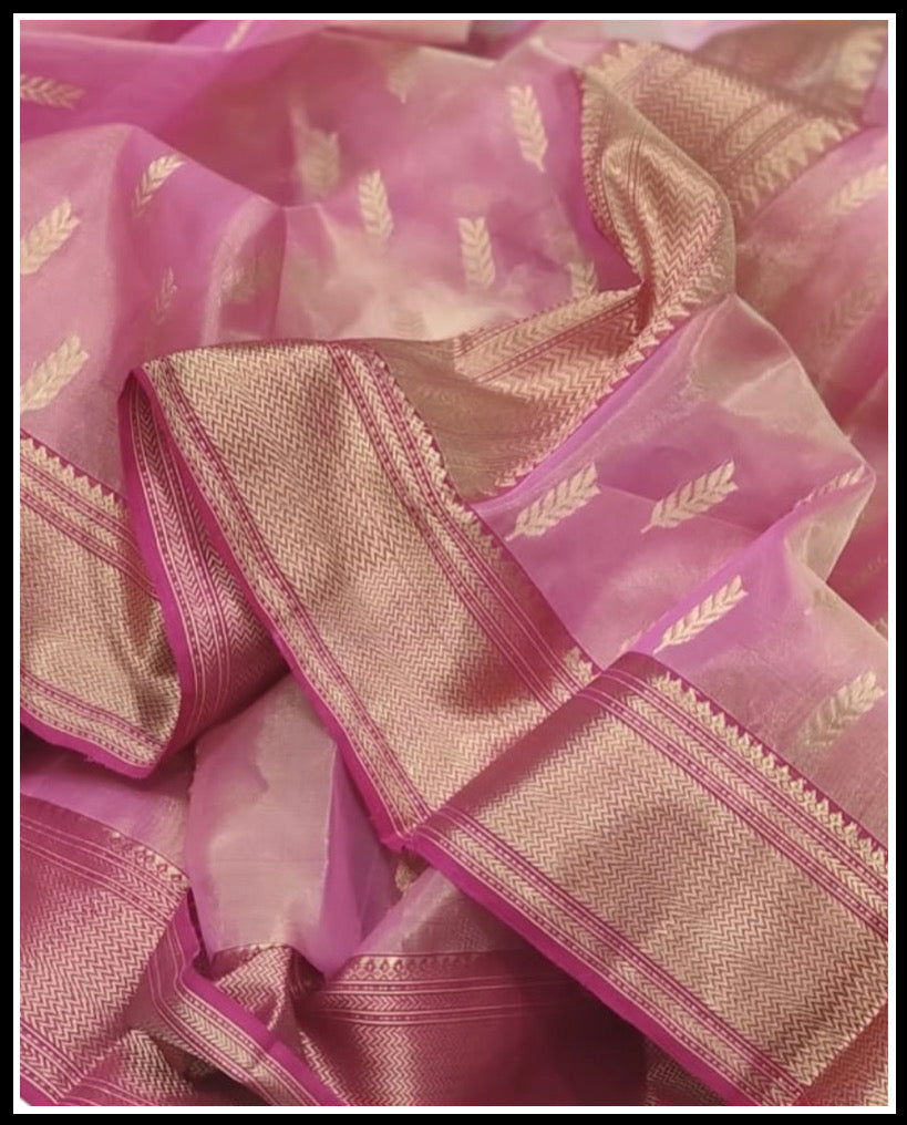 Tissue silk nakshi border silk saree