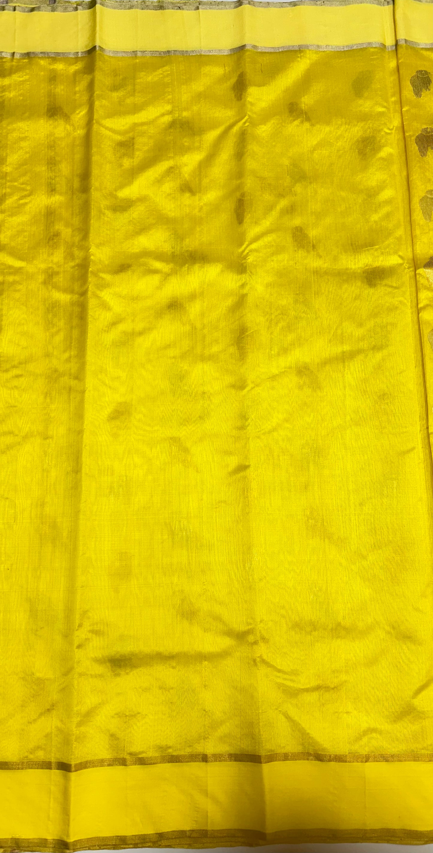 Chanderi handwoven yellow silk saree birds motif