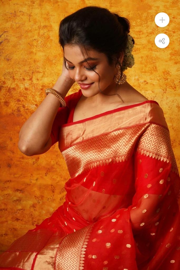 Red colour golden zare border saree